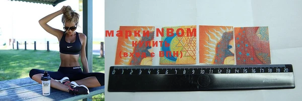 индика Покров