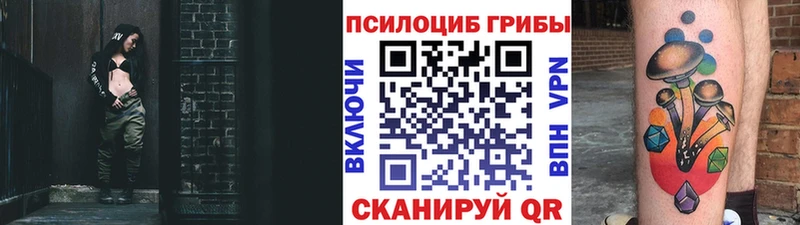 закладки  Тулун  Галлюциногенные грибы мицелий 